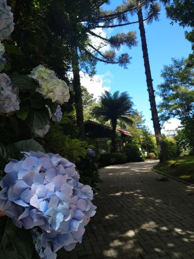 Casa Goldoni Gramado 4 Quartos Exteriör bild